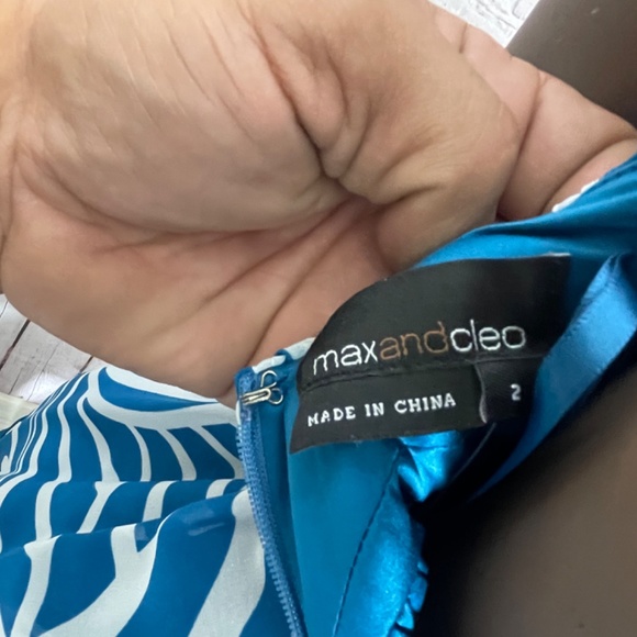 Size 2 Max and Cleo Dress - Picture 4 of 5